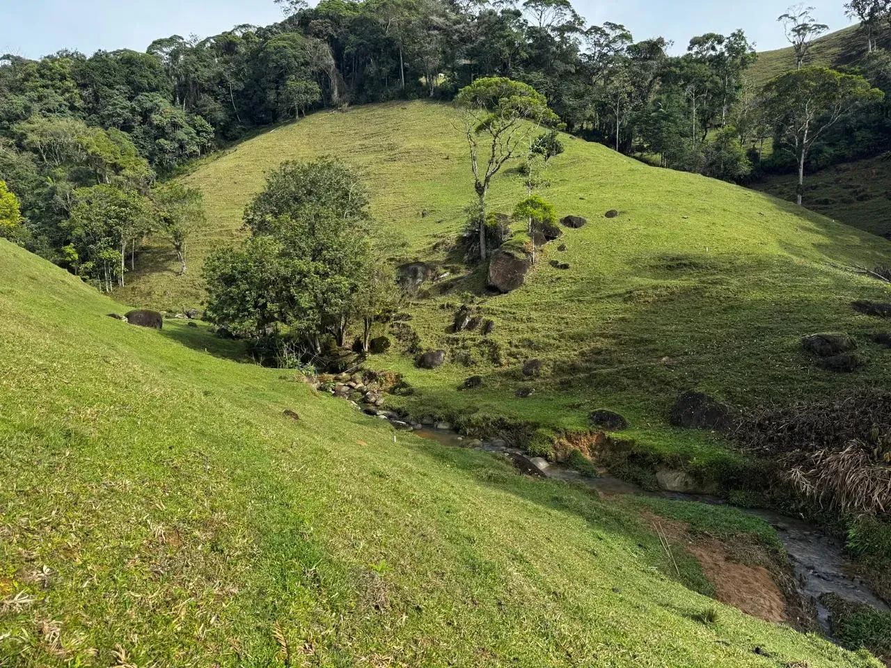Sitio com Escritura Publica em Águas Mornas - SC - Foto 3