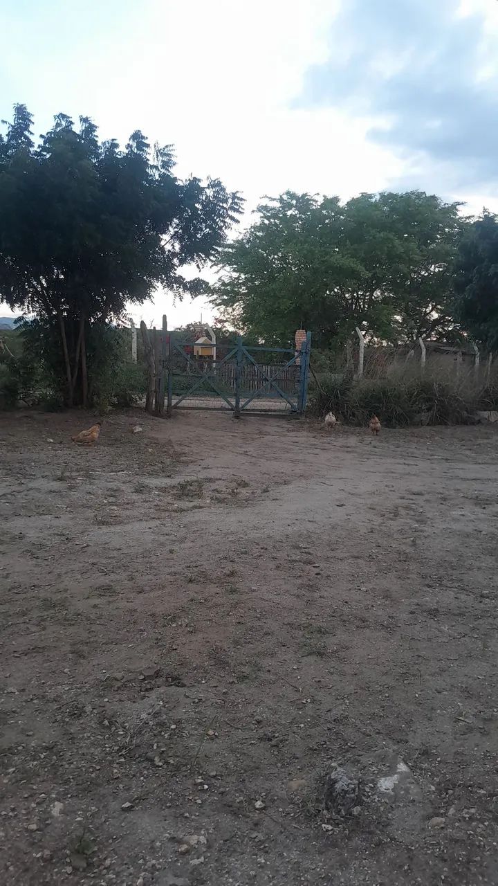 Venda de Casa - Foto 2