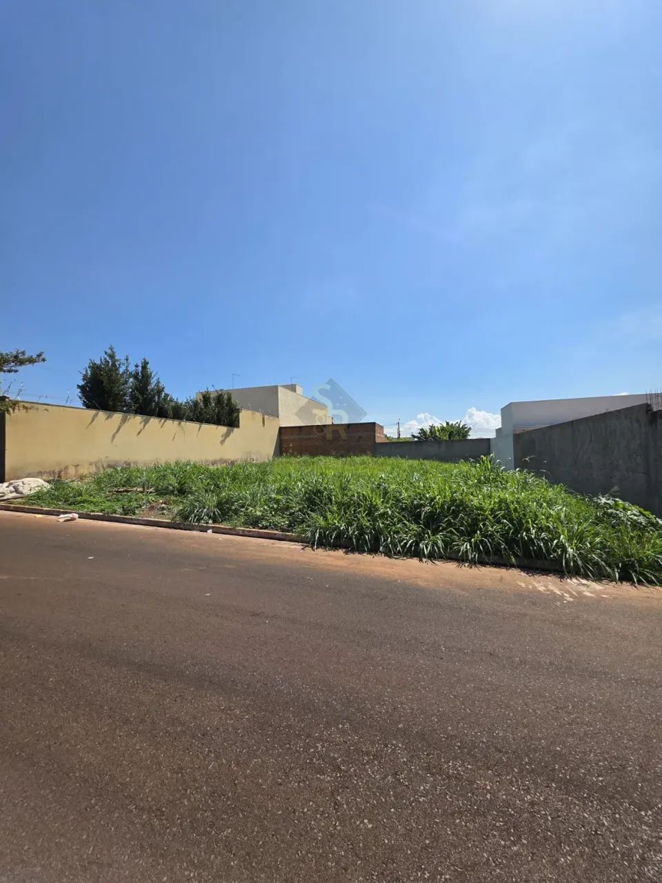 Terrenos LoteTerreno em Sertãozinho - Foto 3