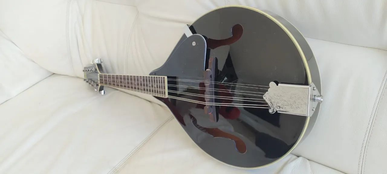 Mandolin Americano 8 cordas + Hardshell Case - Foto 3