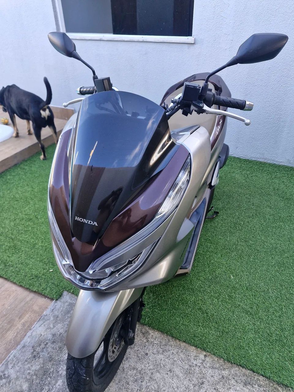 PCX DLX 2022 - Foto 5