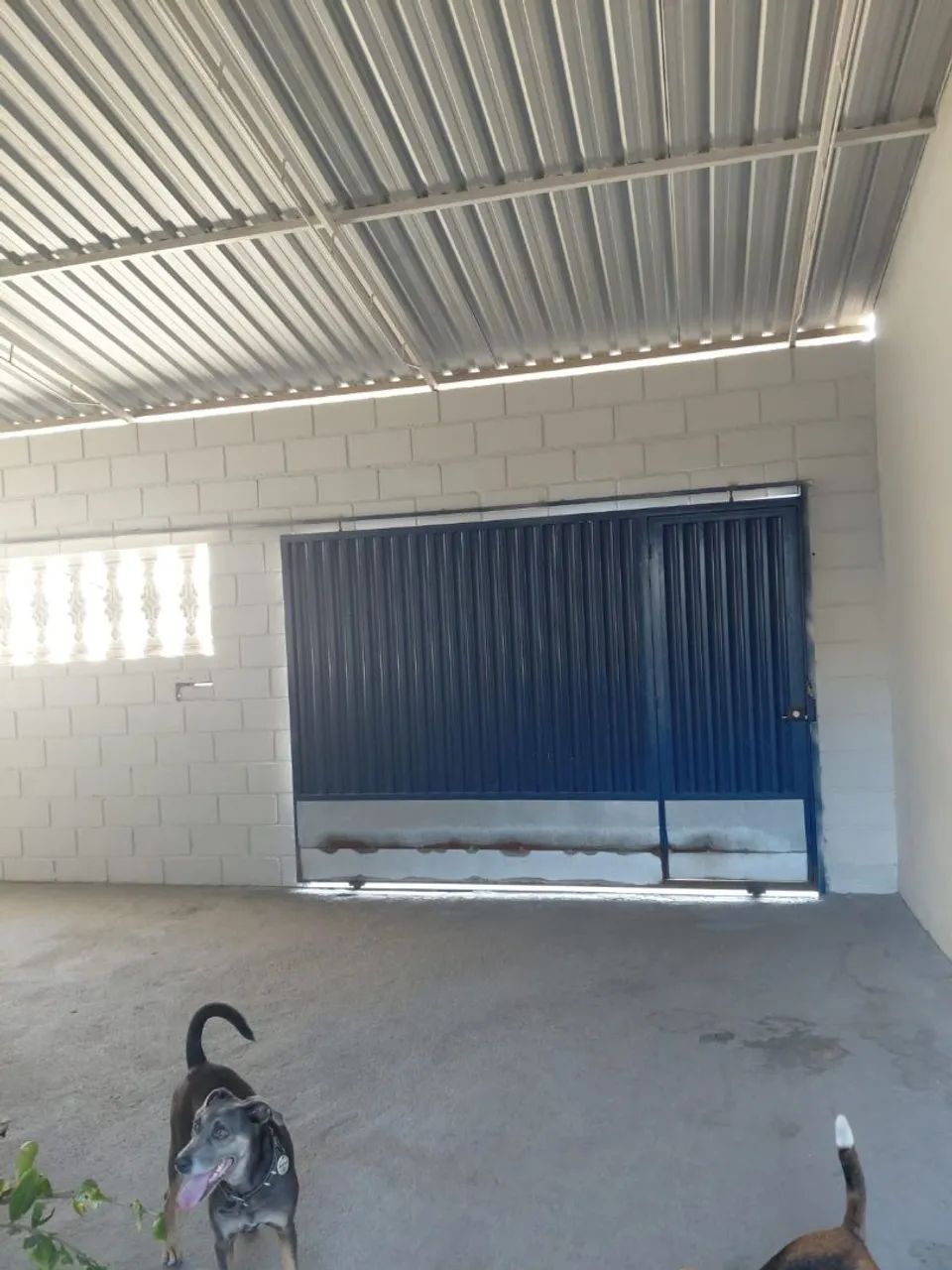 Vendo Casa no São bento campo grande Campinas - Foto 3