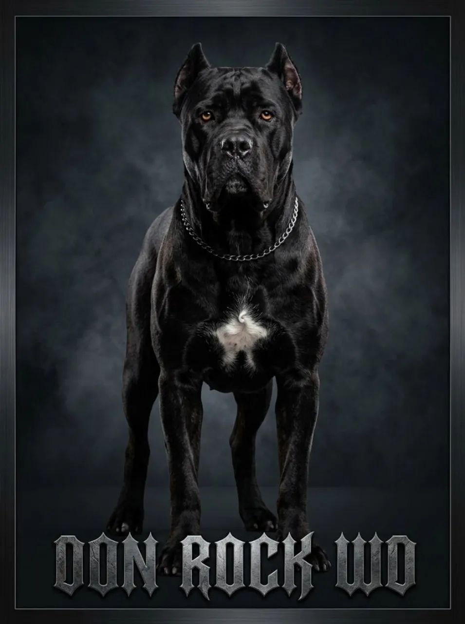 CANE CORSO CRUZA  - Foto 2