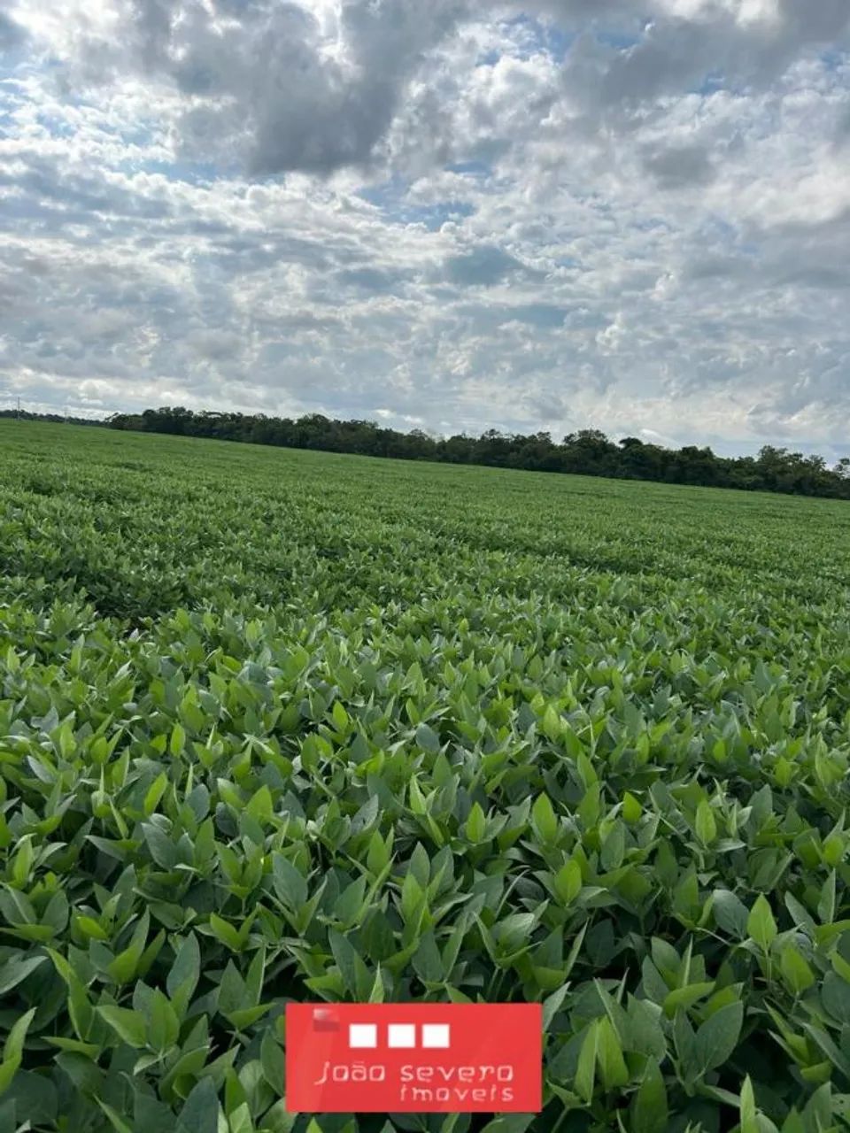 Fazenda para Venda em Santa Rita do Tocantins - Foto 2
