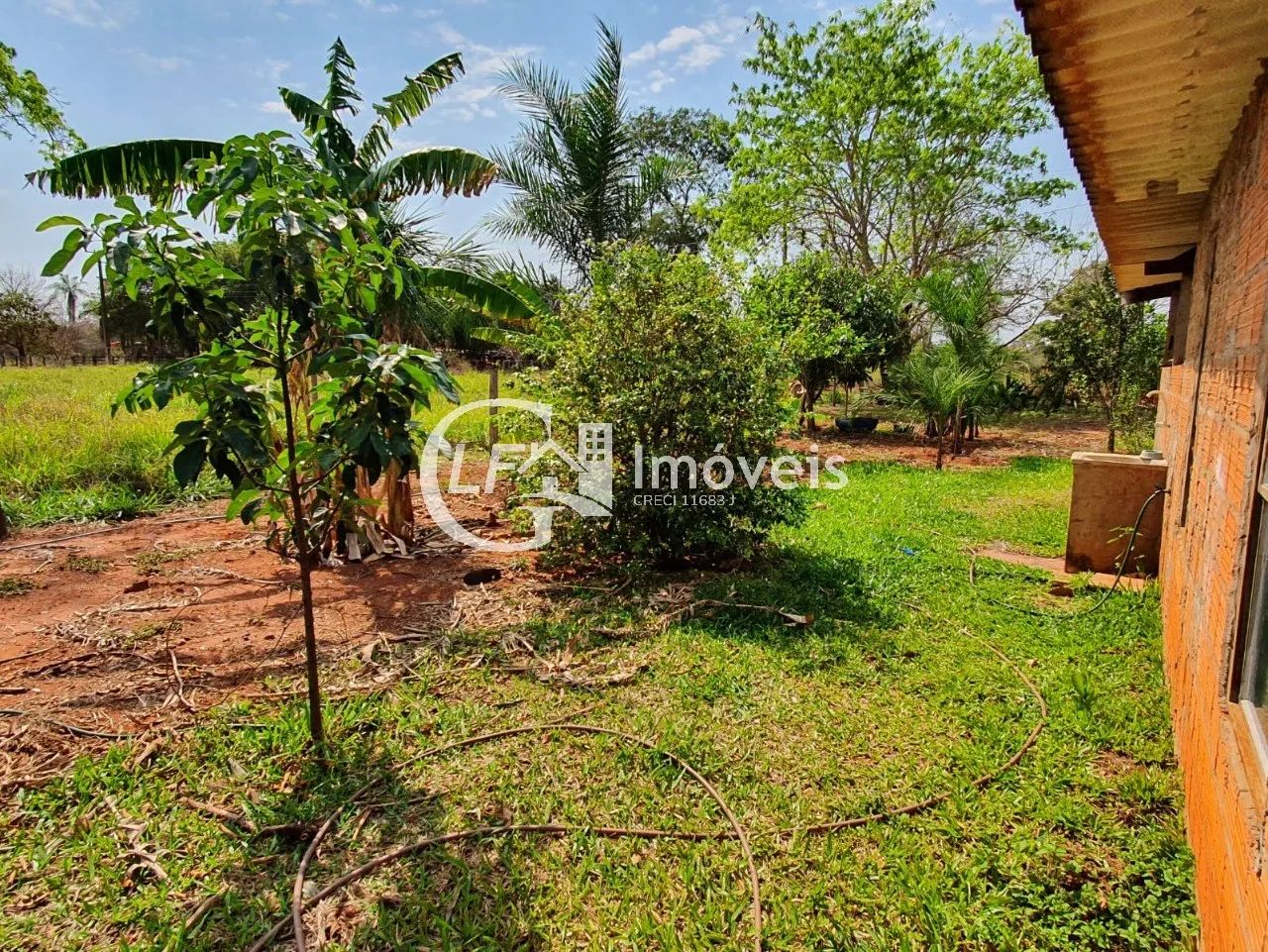 Chácara 7 Hectares com Poço-artesiano e Casa Grande - Foto 4