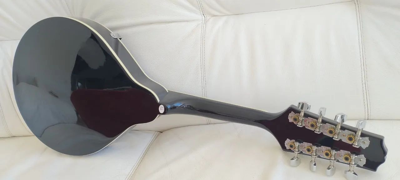 Mandolin Americano 8 cordas + Hardshell Case - Foto 2