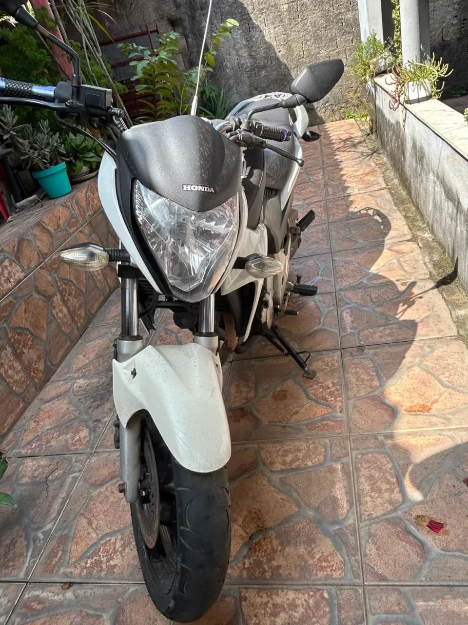 CB 300 - 2012 Filé - Foto 3