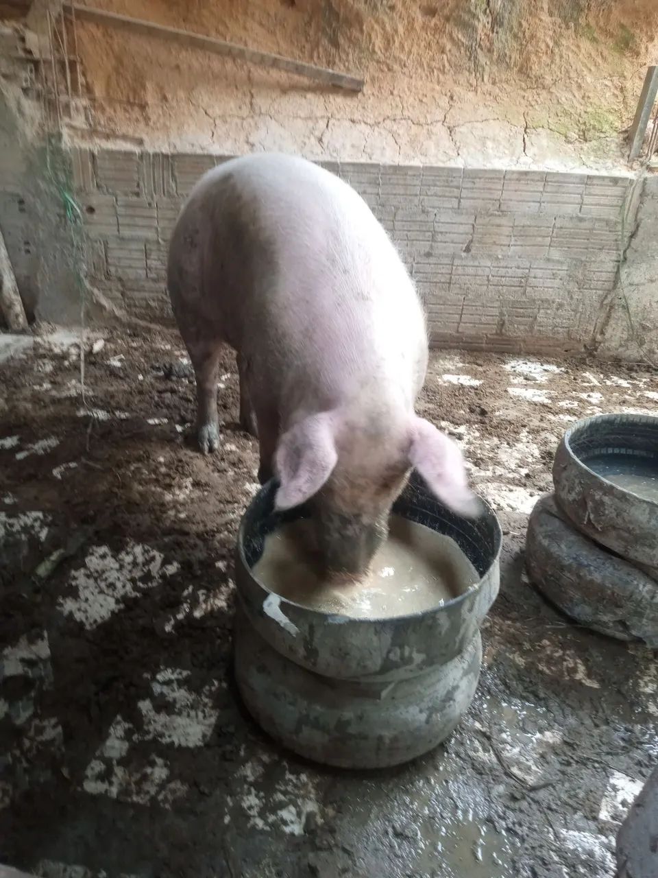 Vendo  - Foto 4