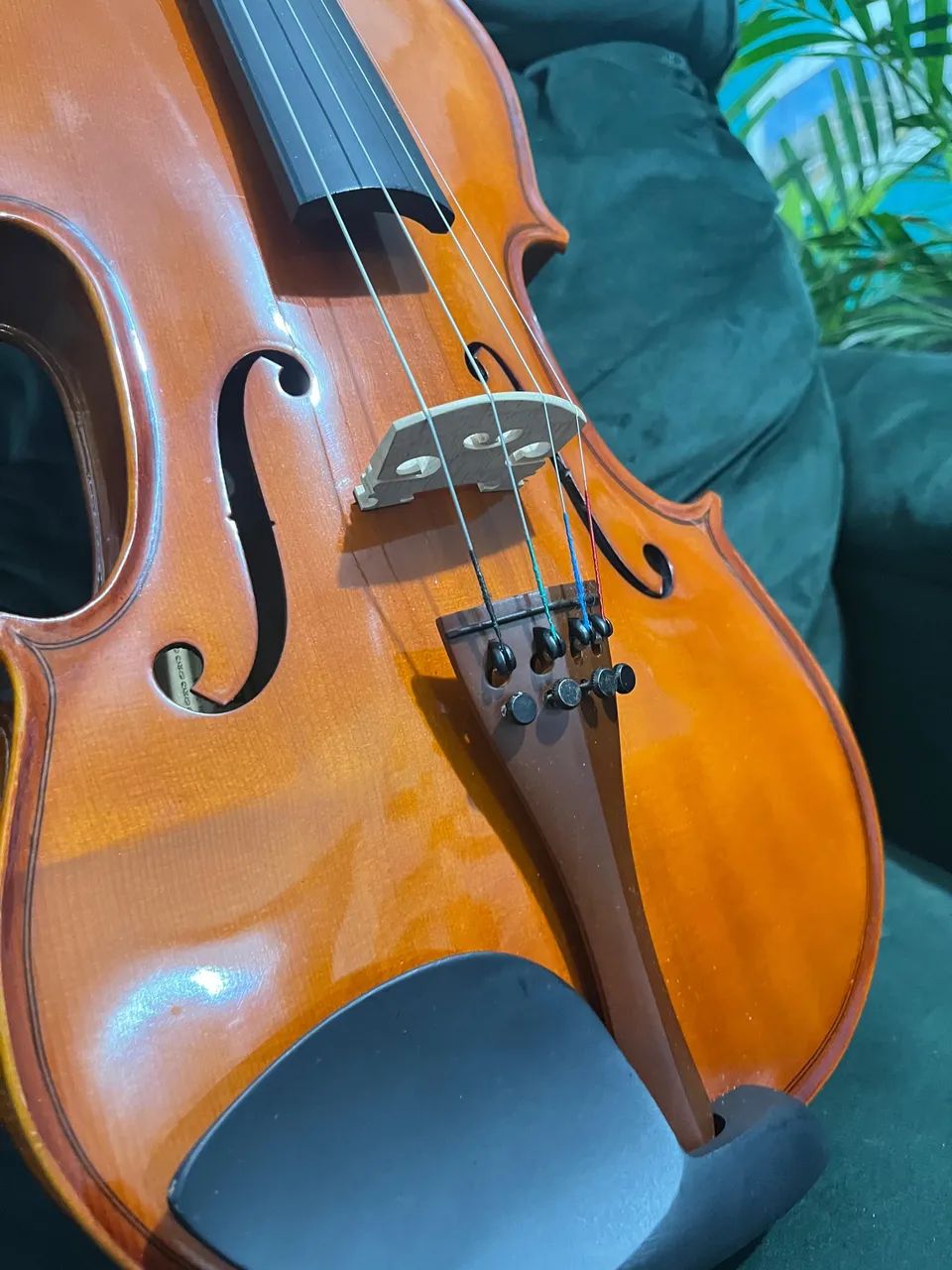 Viola 4/4 Completo + Arco e Estojo | Ótimo Estado de Conservação - Foto 5