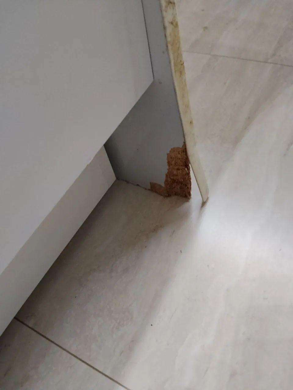 Bicama infantil com 2 colchão branca - Foto 4
