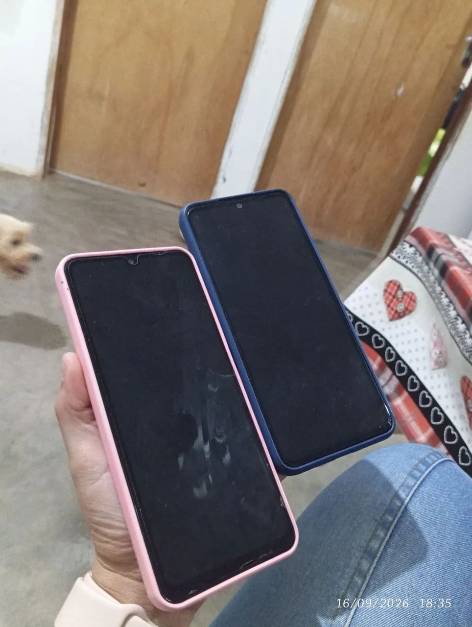 Celular novo 
