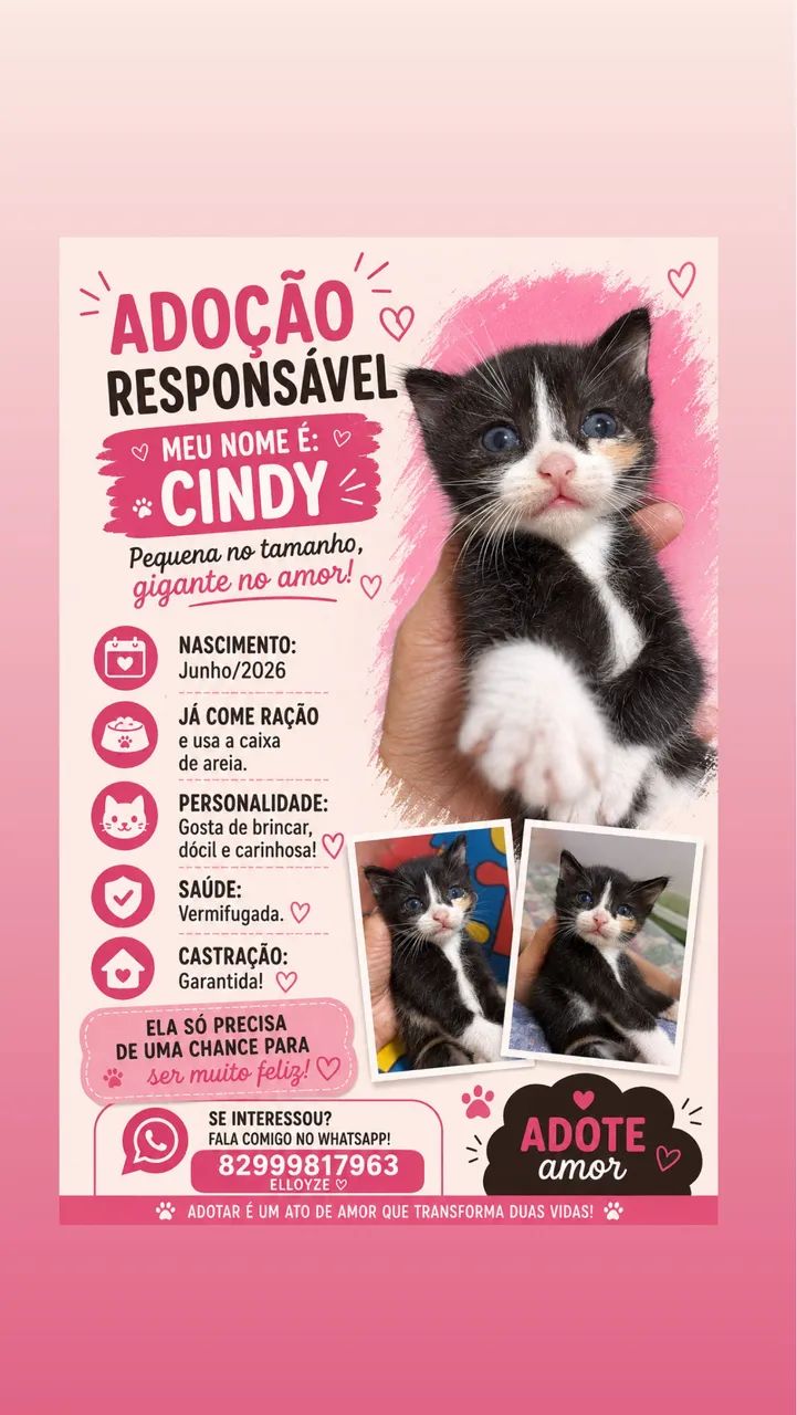 Adoção Responsável 