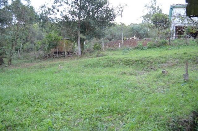 Sítio rural à venda, vale dos pinheiros, gramado. - Foto 7