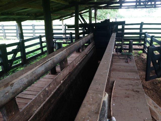 Fazenda 950 ha Rosário Oeste MT - Foto 3