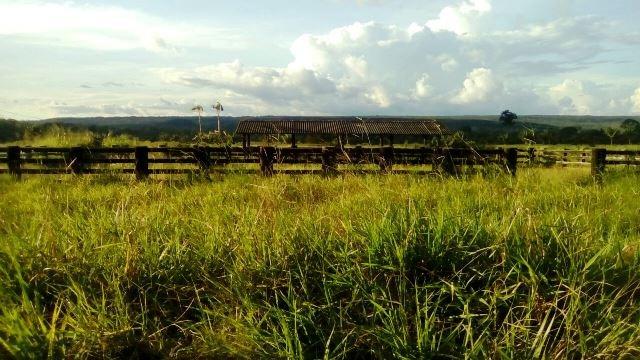 Fazenda 7900 ha Alta Floresta MT - Foto 6