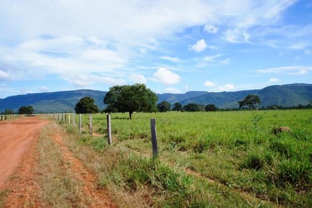 Fazenda 1750 ha N.S. Livramento MT - Foto 7
