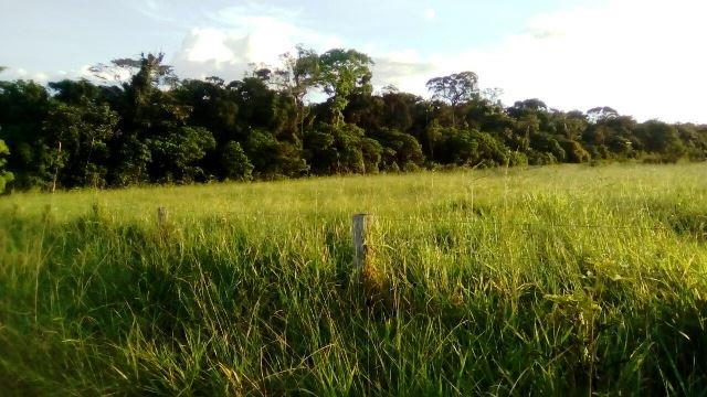 Fazenda 7900 ha Alta Floresta MT - Foto 10