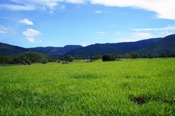 Fazenda 1750 ha N.S. Livramento MT