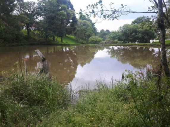 São José dos Pinhais - Chácara c/ 2328m² em condomínio fechado próx. BR 277 - Foto 11