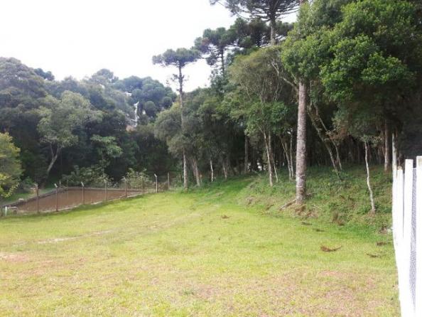 São José dos Pinhais - Chácara c/ 2328m² em condomínio fechado próx. BR 277 - Foto 2