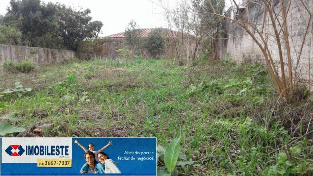 Terreno para alugar em Centro, Pinhais cod:00362.001 - Foto 4
