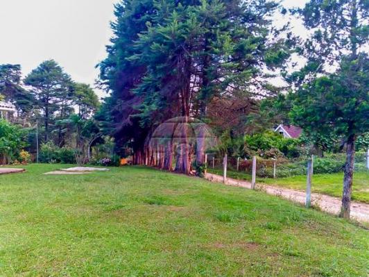Chácara à venda em Área rural, Mandirituba cod:150401 - Foto 7