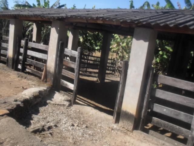 Fazenda com 57 hectares em Carmopolis de Minas - Foto 18