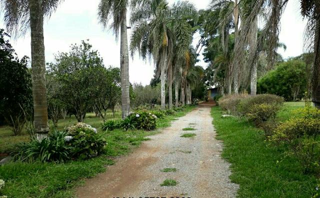 Lotes de 1000m2 de Ibiuna * Jhessica - Foto 5