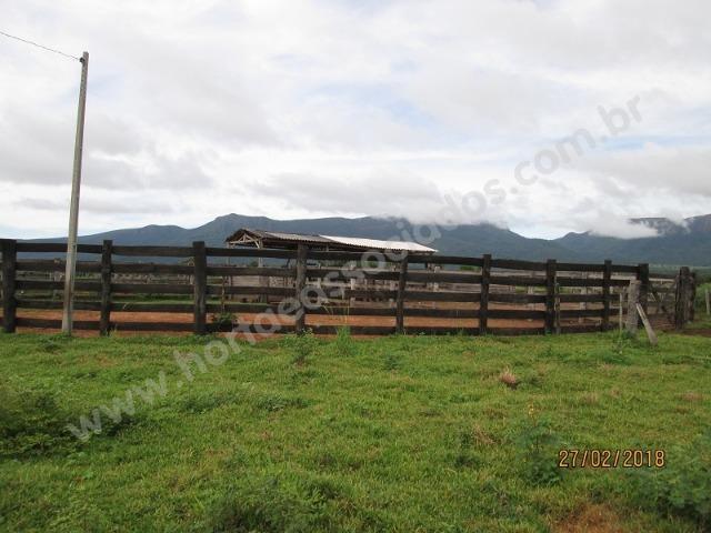 Fazenda com 881 hectares em Corumbá-MS para agricultura e pecuária
