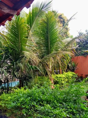 Rancho próximo ao rio são Francisco - Foto 2