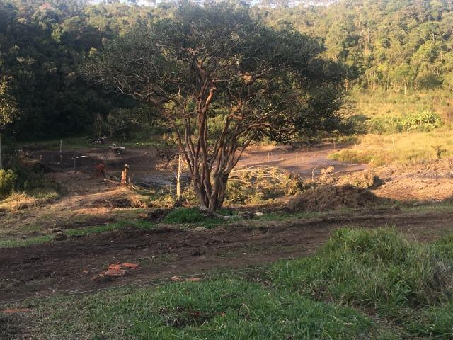 GE 1000m2. comece seu ano de 2020 com um lindo terreno - Foto 4