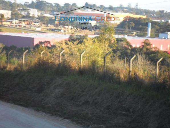 Rural comercial - Bairro Centro em Campina Grande do Sul - Foto 5