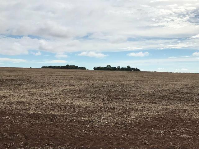 Fazenda para Arrendamento - MS - Foto 5