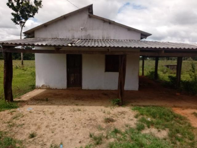 Vendo 60 hectares!