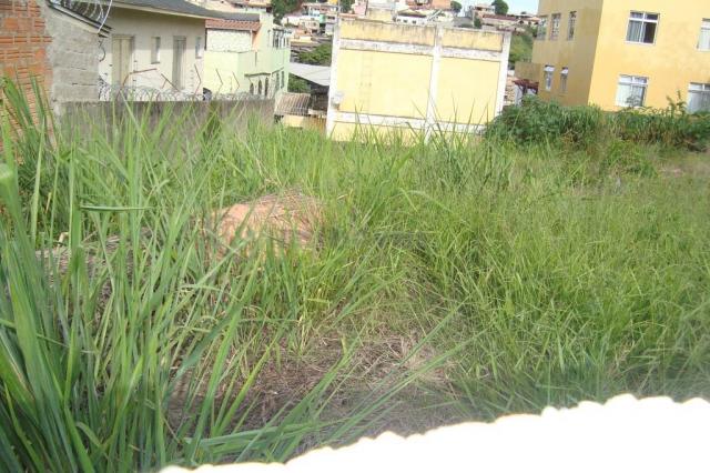 Terreno à venda em Heliópolis, Belo horizonte cod:656052 - Foto 7