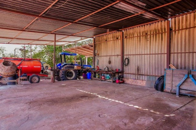 Fazenda em Rio Sono. 60 mil o alqueire. - Foto 3