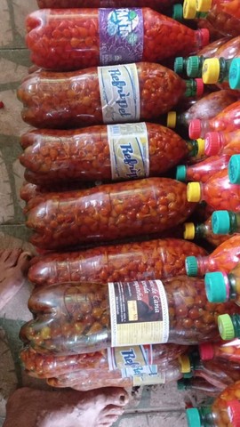 Biquinho no atacado - Foto 2