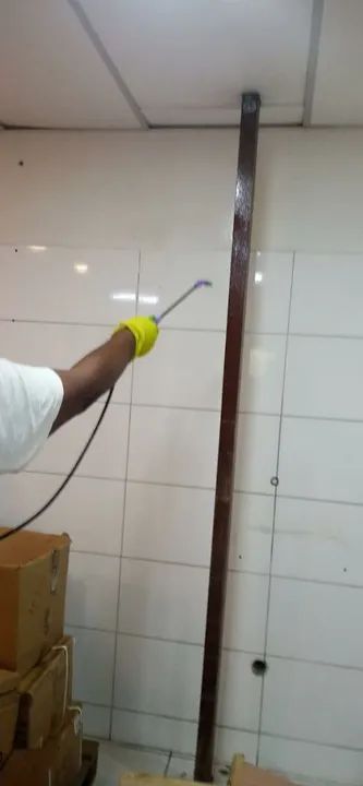 Dedetização  - Foto 4