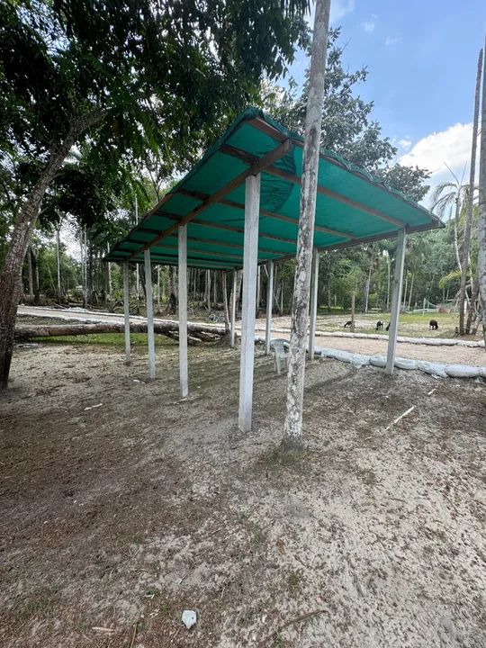 Sítio no ramal do brasileirinho  - Foto 5