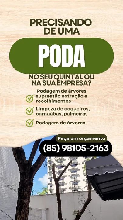 Serviço de podas. - Foto 4