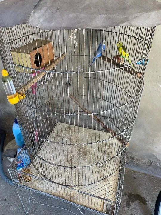 Viveiro grande - Foto 4