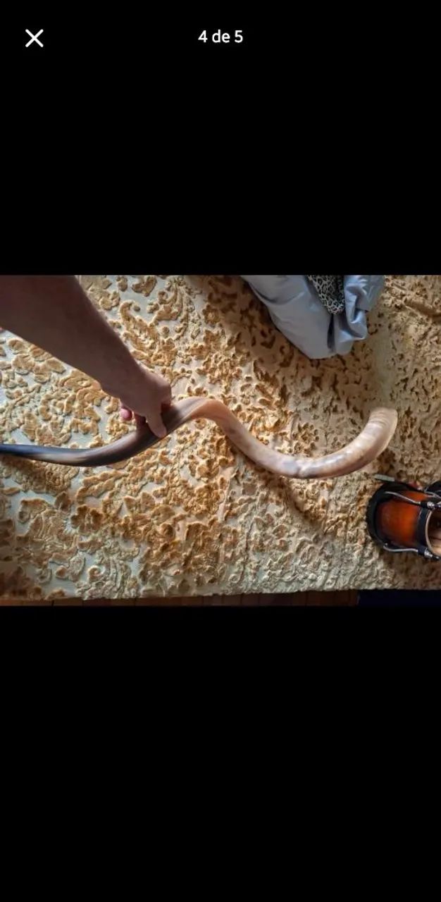 Shofar  - Foto 4