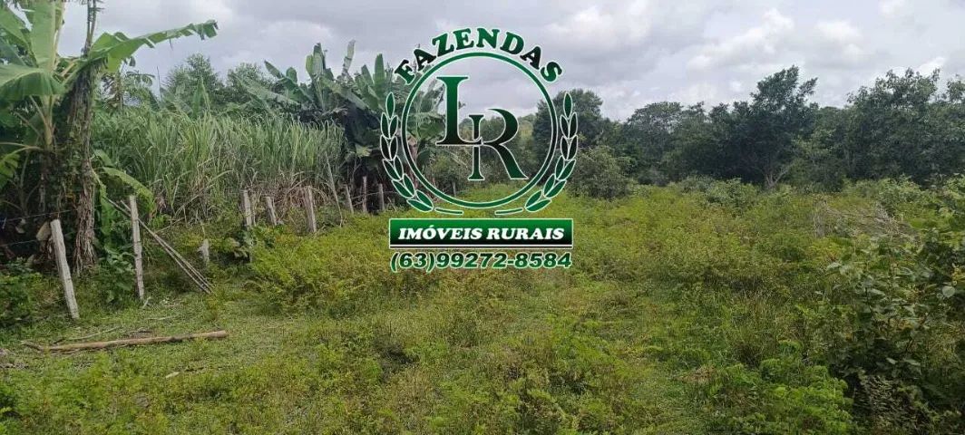 Fazenda dupla Aptidão 65 Alqueires