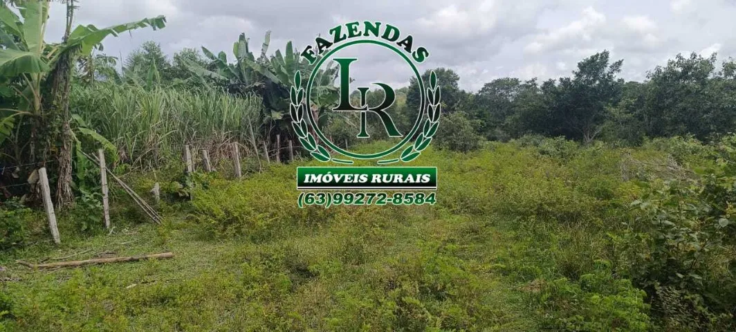Fazenda dupla Aptidão 65 Alqueires