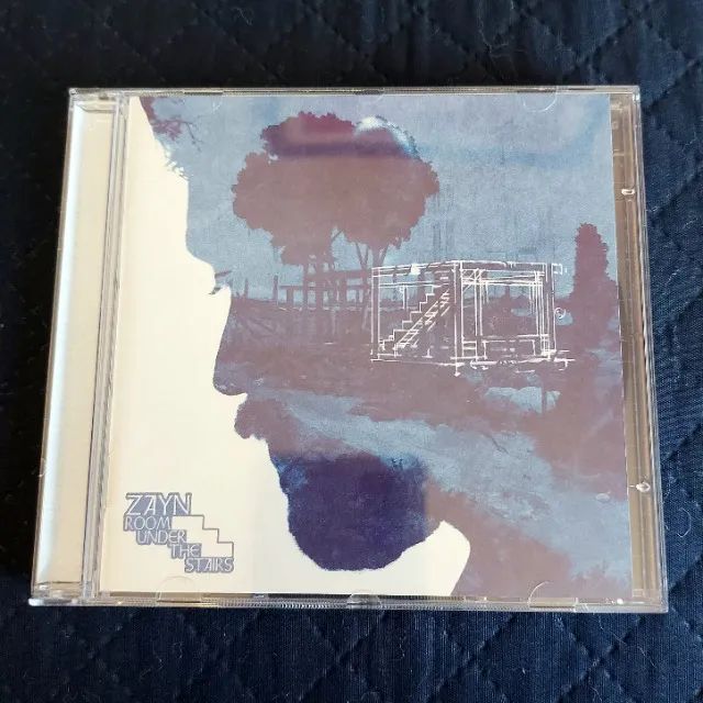 ZAYN - Room Under The Stairs