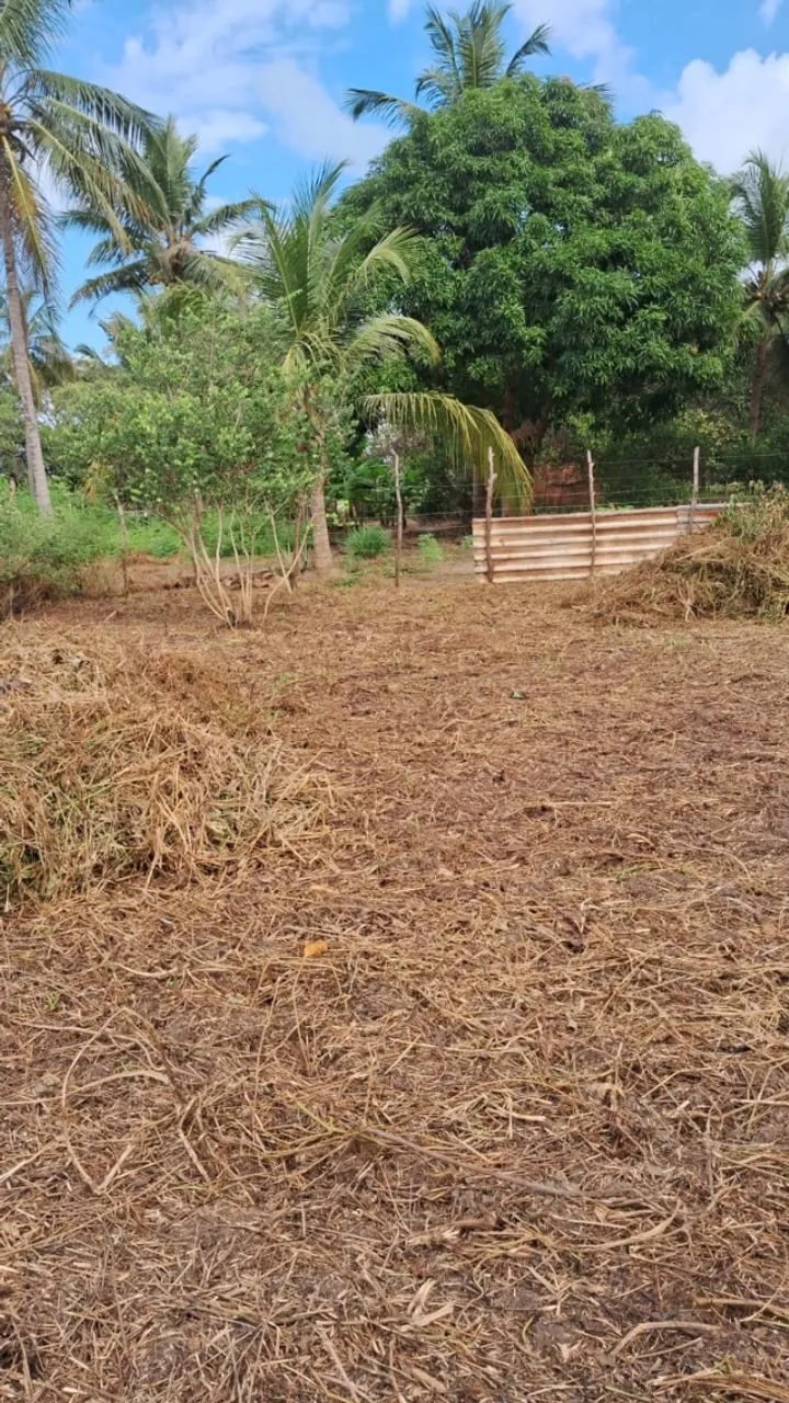 Terreno metragem 18x30 m