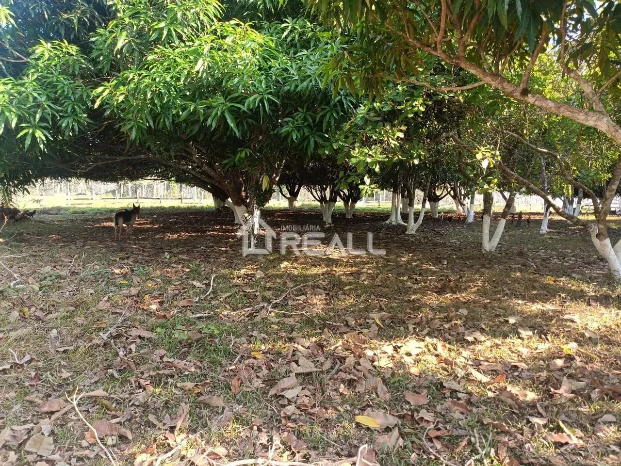 Fazenda a Venda,Transacreana km 15, Vila Manoel Marques, Rio Branco-AC - Foto 4