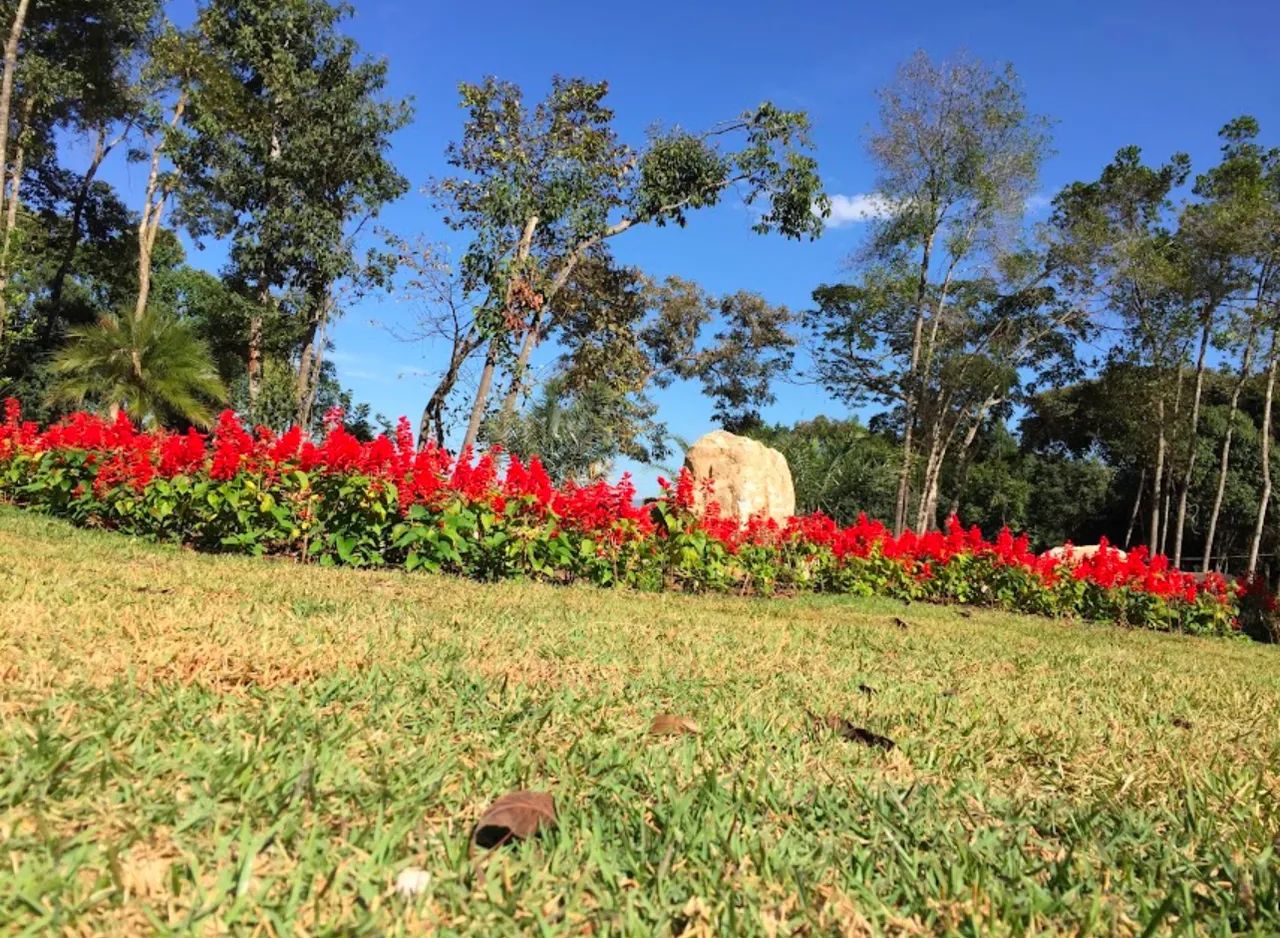 Lote em condomínio fechado  - Foto 3