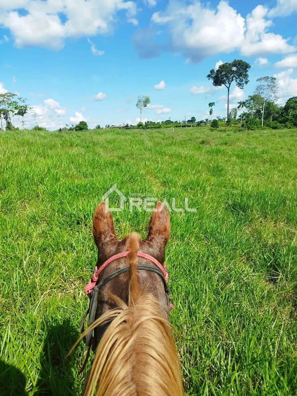 Fazenda a Venda,Transacreana km 15, Vila Manoel Marques, Rio Branco-AC - Foto 2