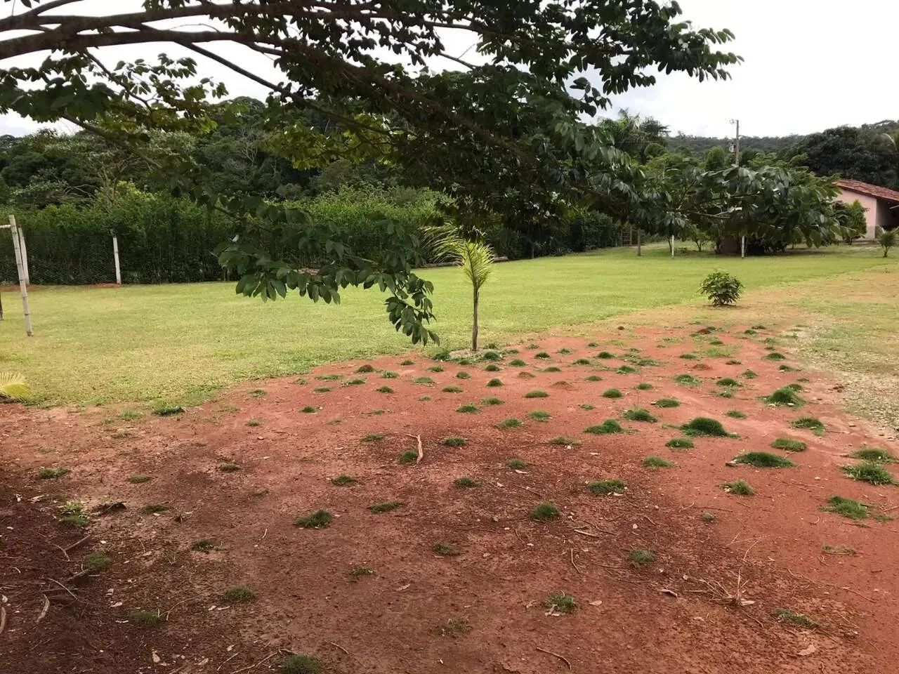Chácara à venda em Trindade de Oratórios - Foto 5